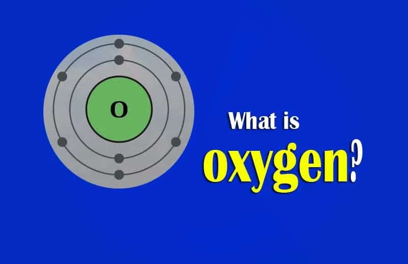 How To Find The Molar Mass Of a Molecule Of Oxygen (O2)?