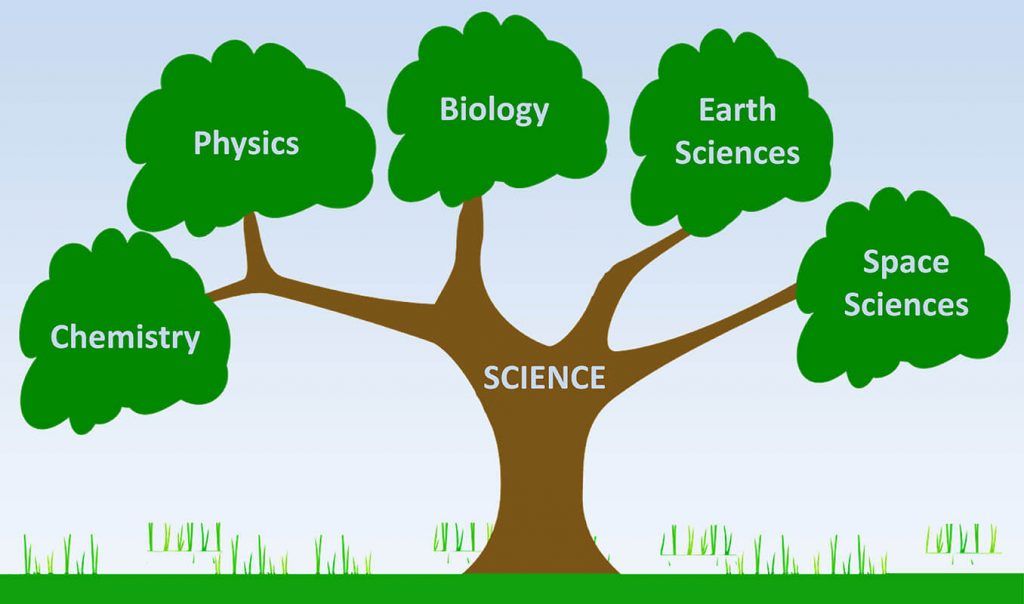 Branches Of Science All You Need To Know About Branches Of Science