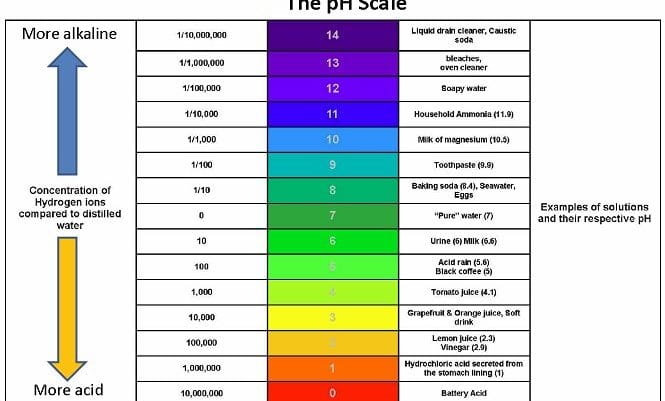 pH Calculator