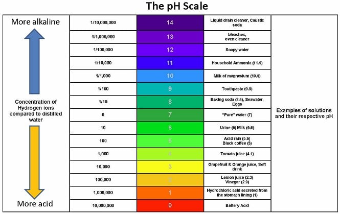 pH Calculator