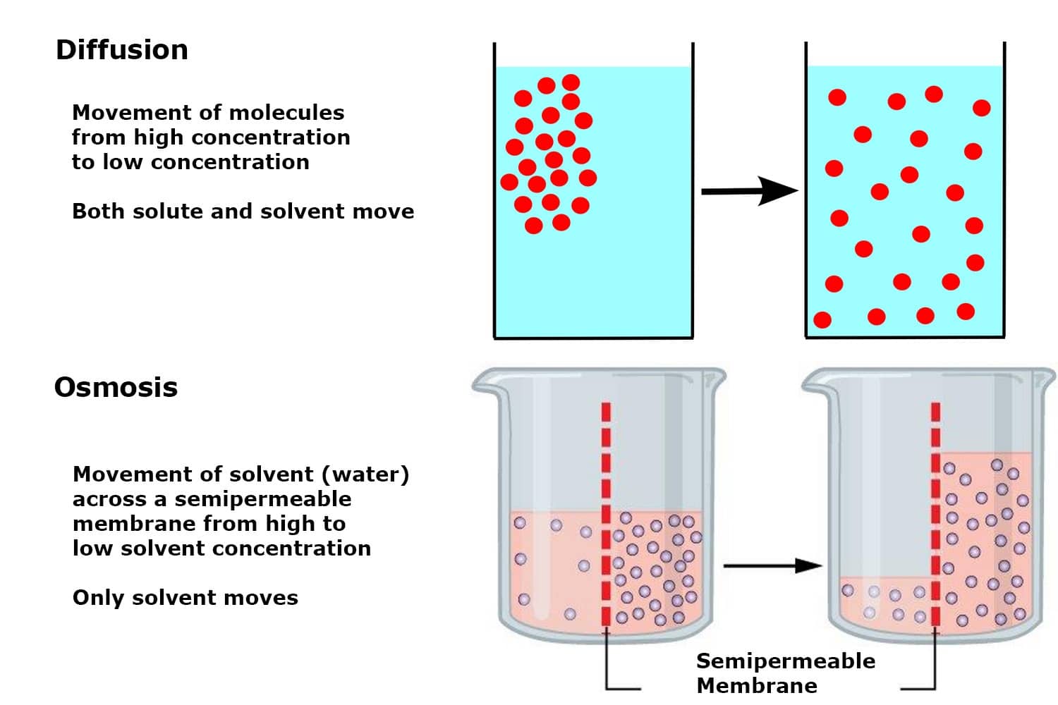 What Are The 3 Types Of Diffusion